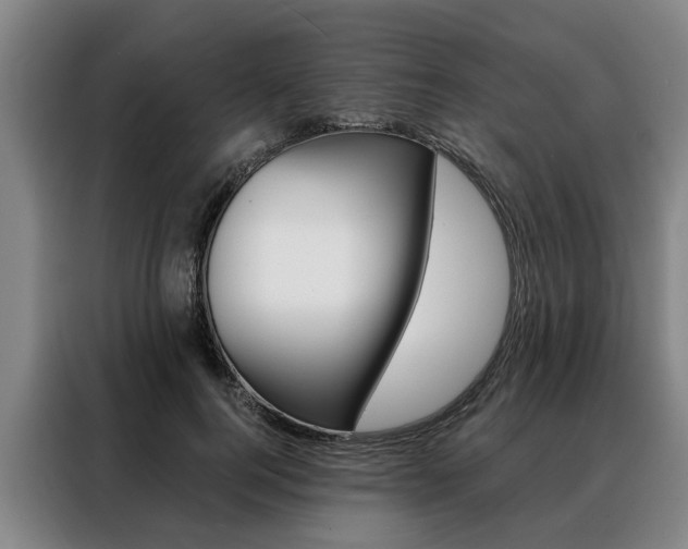 X0000088470744200705220940