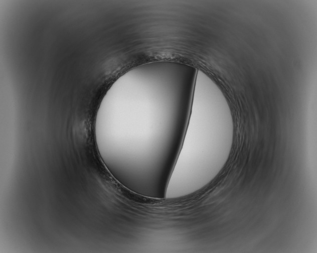 X0000088470747200705220940