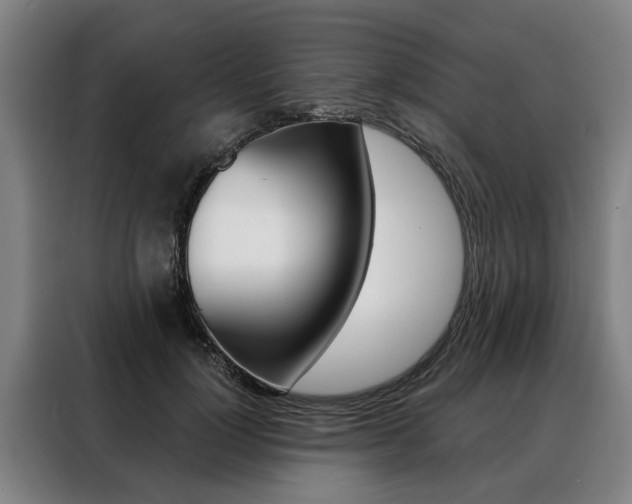 X0000088470748200705220940
