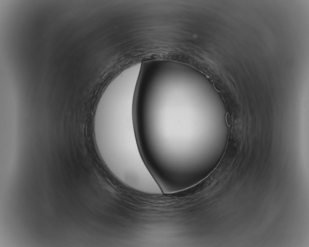 X0000088470750200705220940