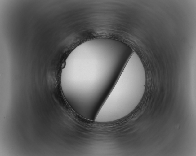X0000088470751200705220940