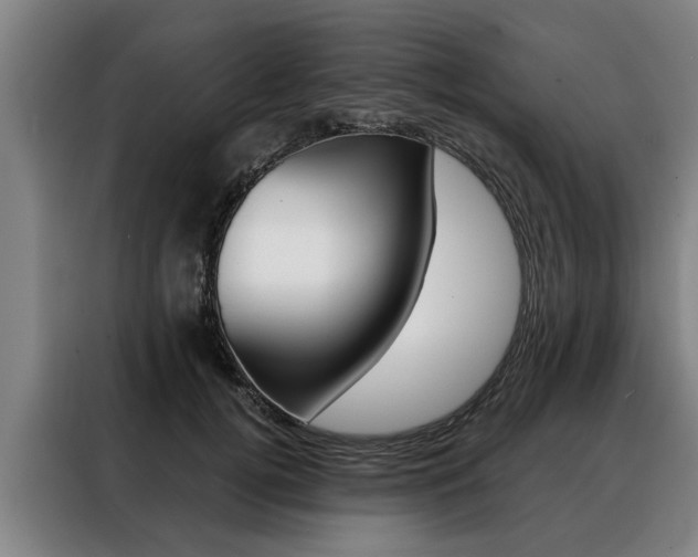 X0000088470752200705220940