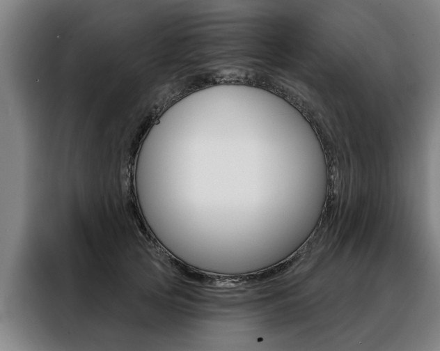 X0000088470753200705220940