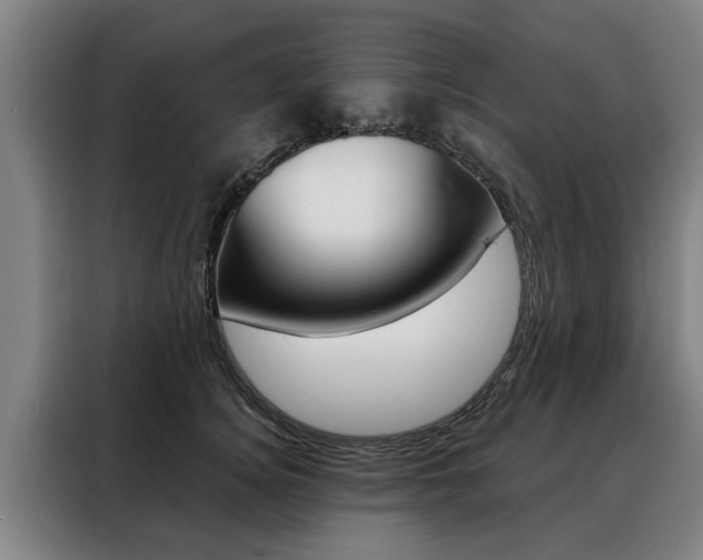 X0000088470756200705220940