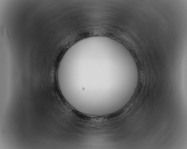 X0000088470757200705220940