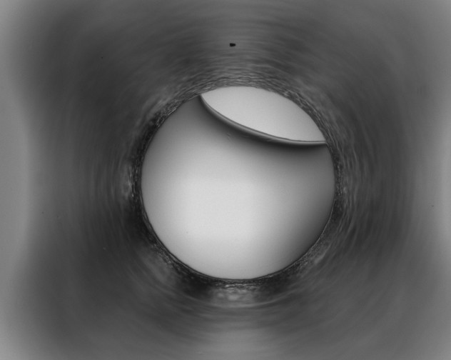 X0000088470758200705220940