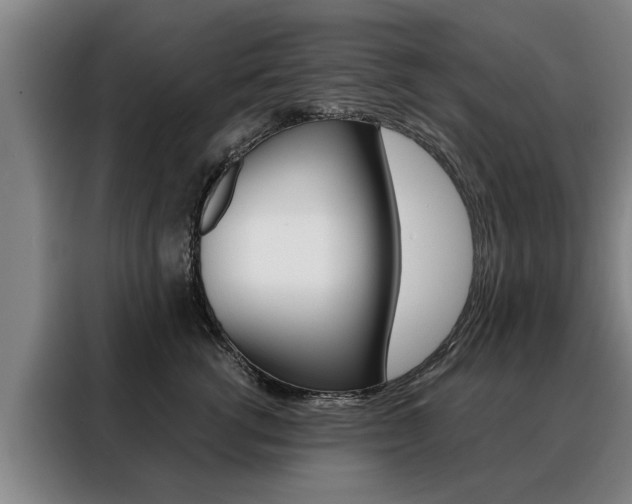 X0000088470762200705220940