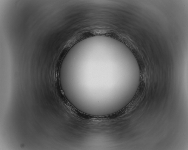 X0000088470763200705220940