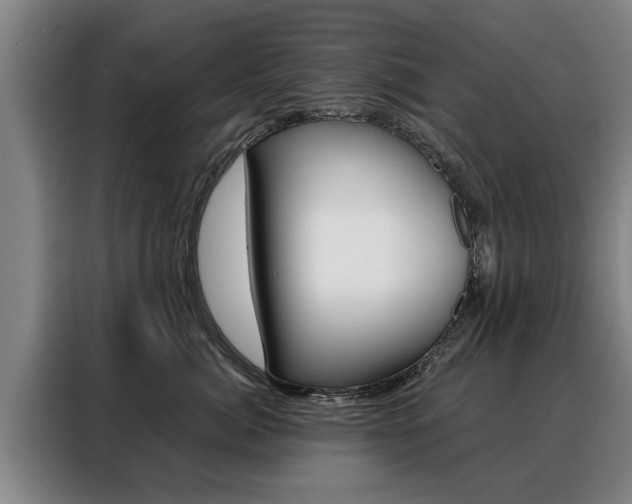 X0000088470764200705220940