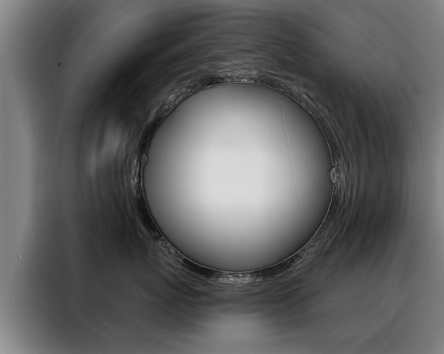 X0000088470767200705220940