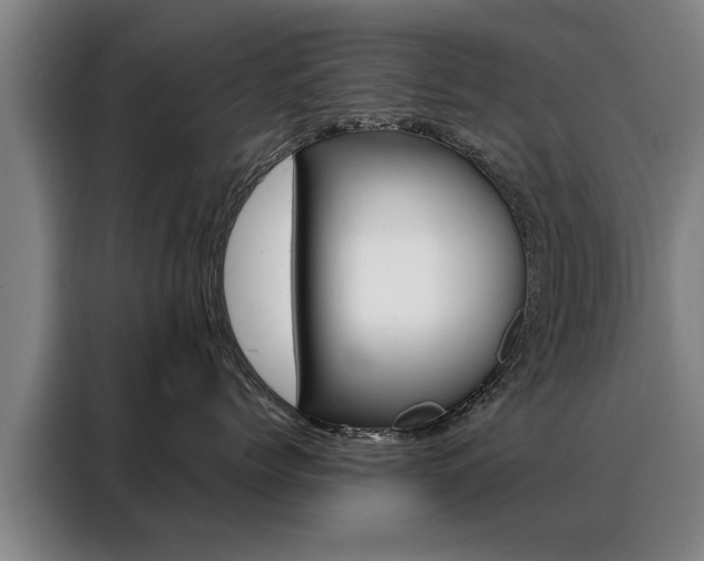 X0000088470768200705220940