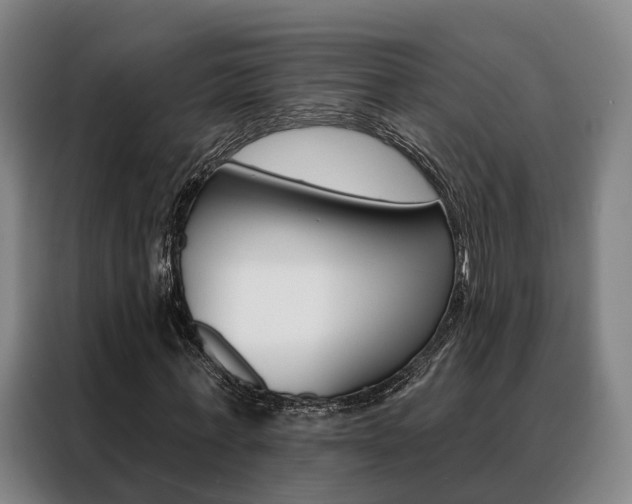 X0000088470771200705220940