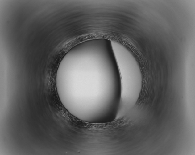 X0000088470773200705220940