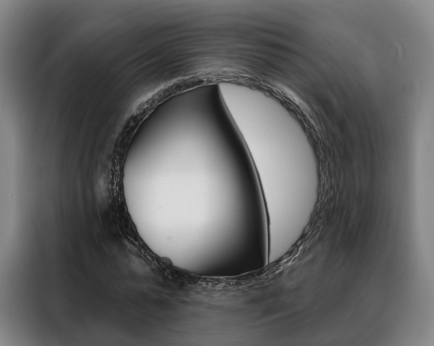 X0000088470775200705220940