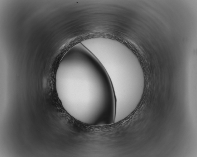 X0000088470776200705220940