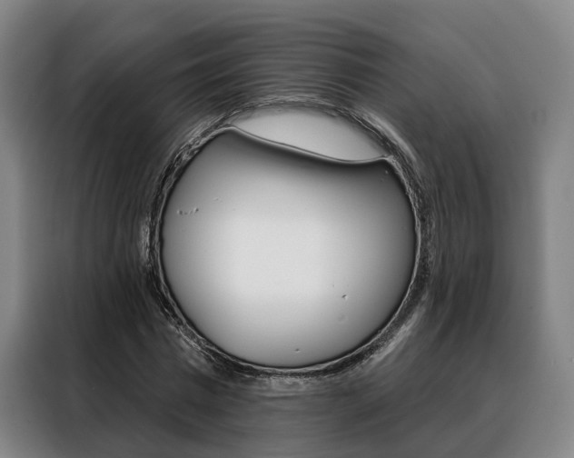 X0000088470777200705220940