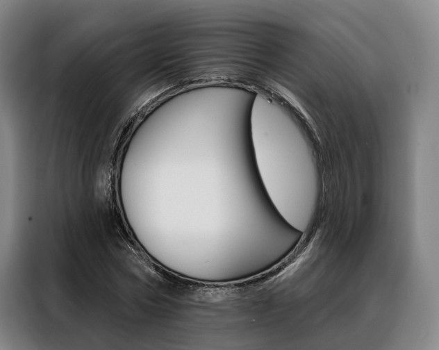X0000088470778200705220940