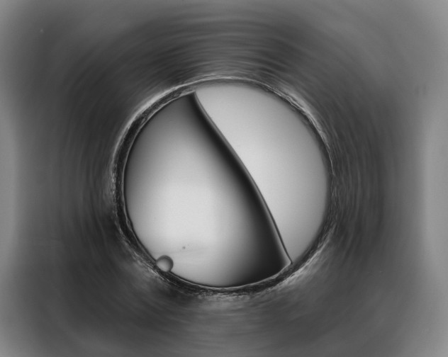 X0000088470779200705220940