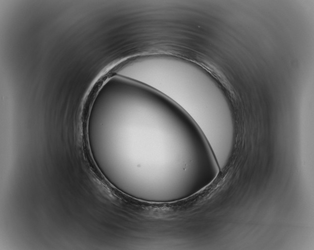 X0000088470784200705220940