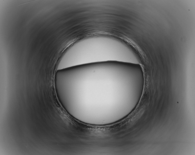 X0000088470785200705220940