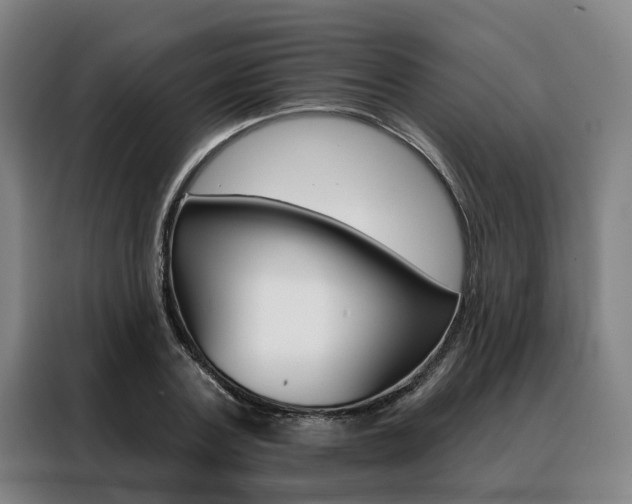 X0000088470787200705220940