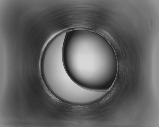 X0000088470788200705220940
