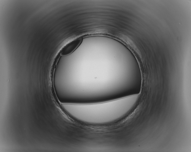 X0000088470789200705220940