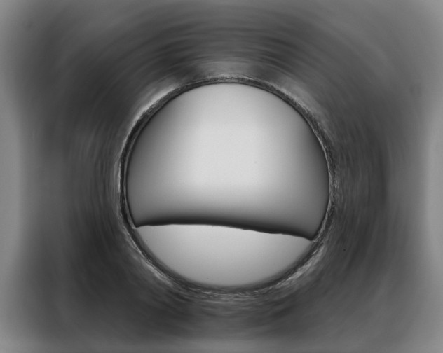 X0000088470790200705220940