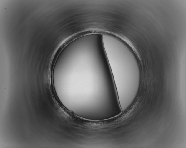 X0000088470791200705220939