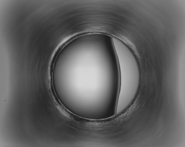 X0000088470792200705220939