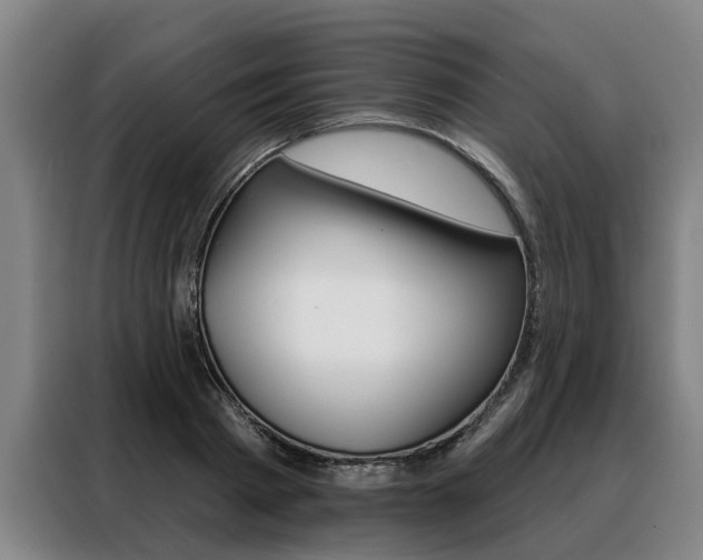X0000088470793200705220939