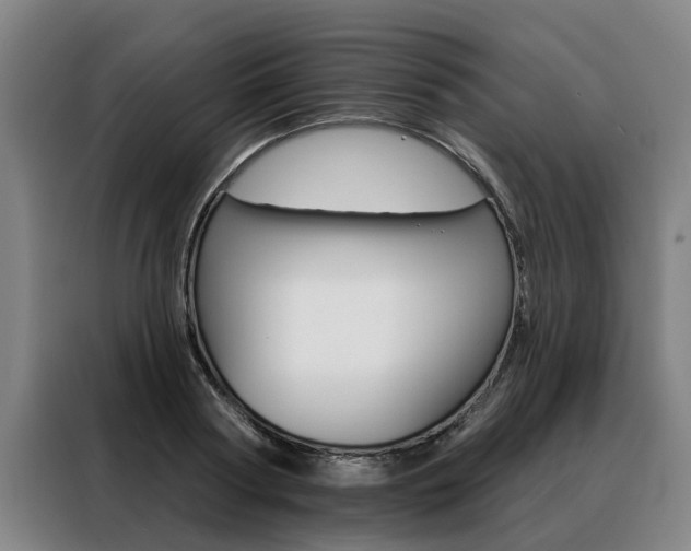X0000088470794200705220939