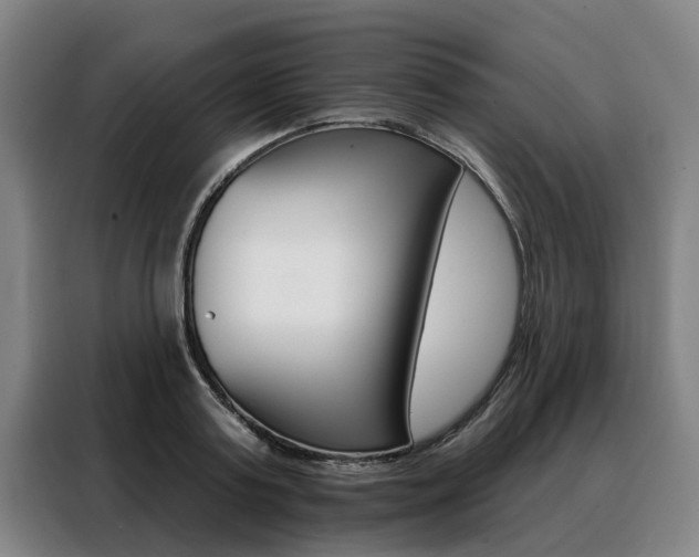 X0000088470795200705220939