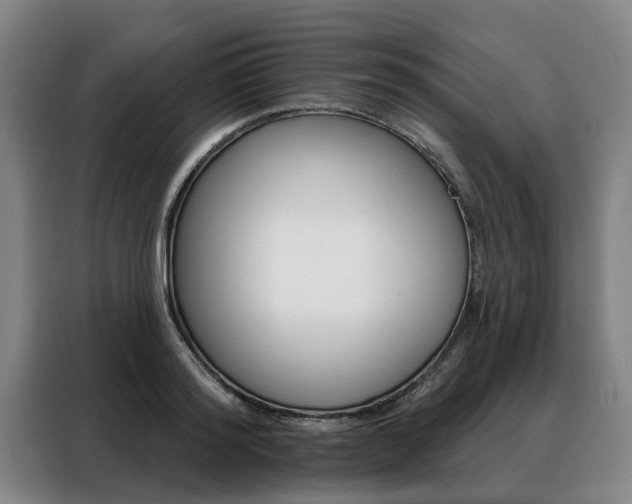 X0000088470796200705220939