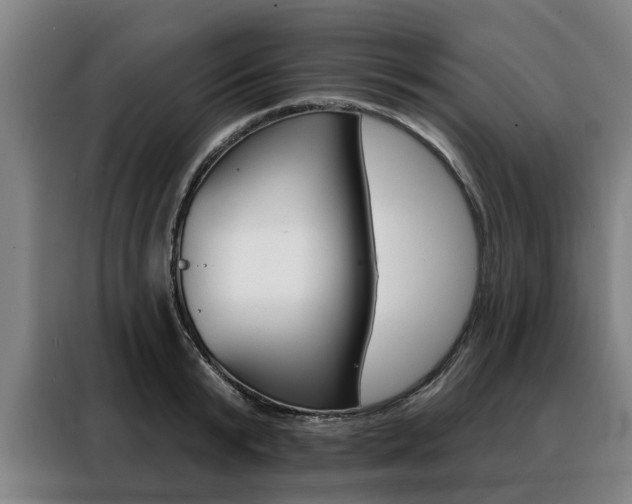 X0000088470799200705220939