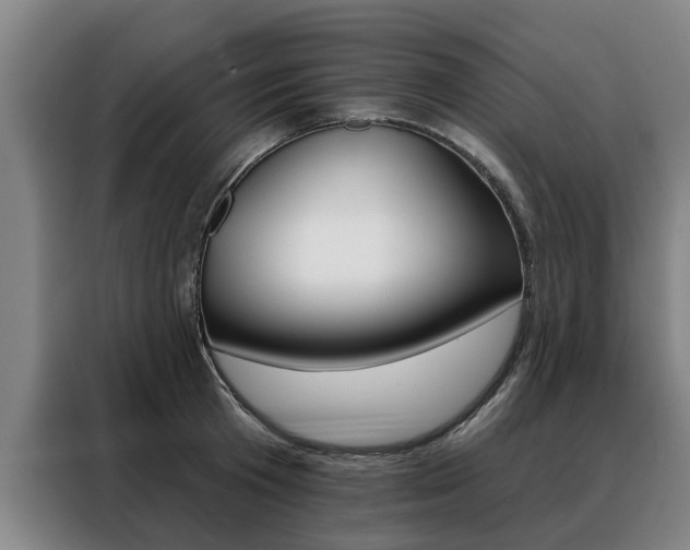 X0000088470801200705220939
