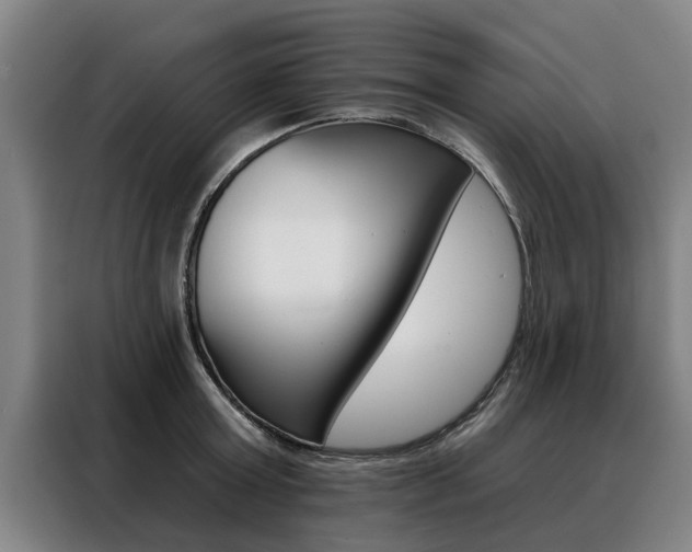 X0000088470803200705220939