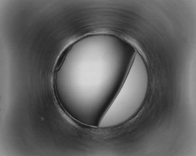 X0000088470805200705220939