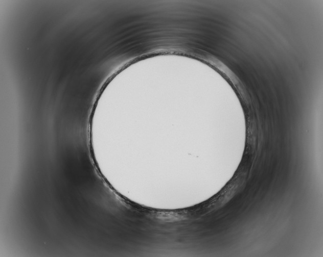 X0000088470807200705220939
