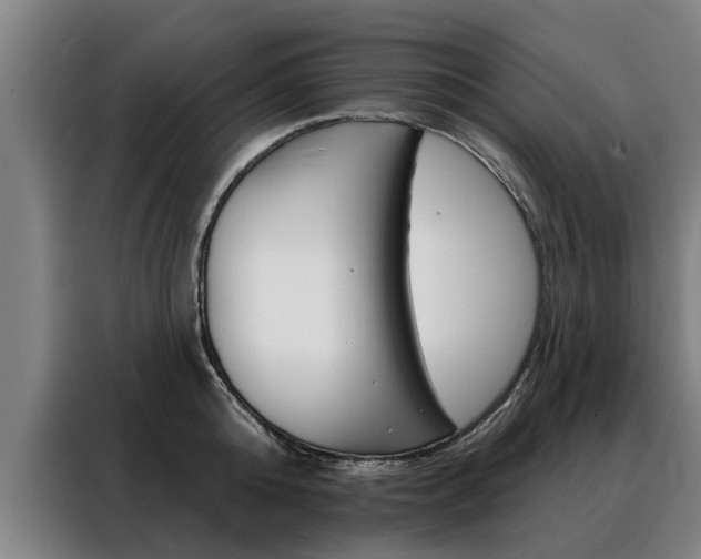 X0000088470808200705220939