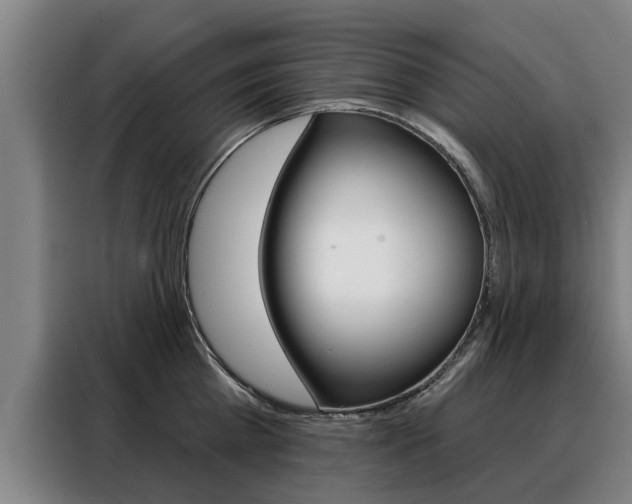 X0000088470809200705220939