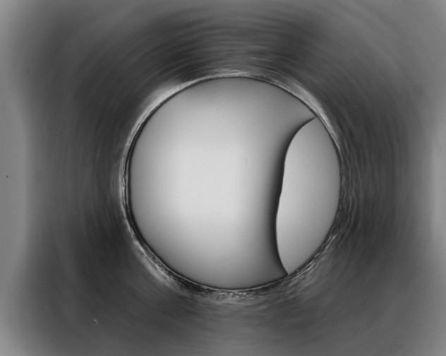 X0000088470811200705220939