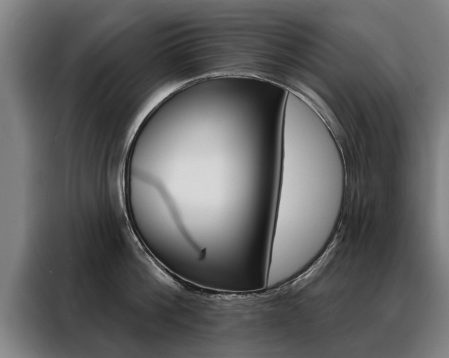 X0000088470812200705220939