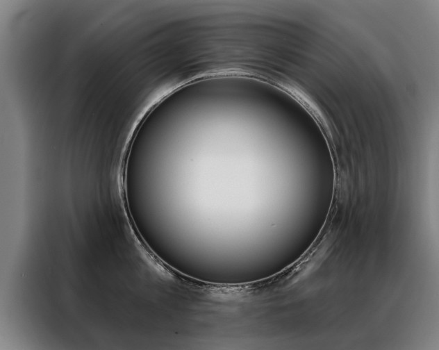 X0000088470813200705220939