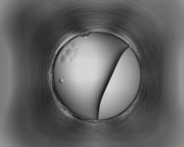 X0000088470814200705220939