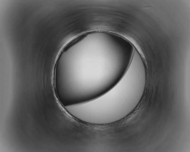 X0000088470815200705220939