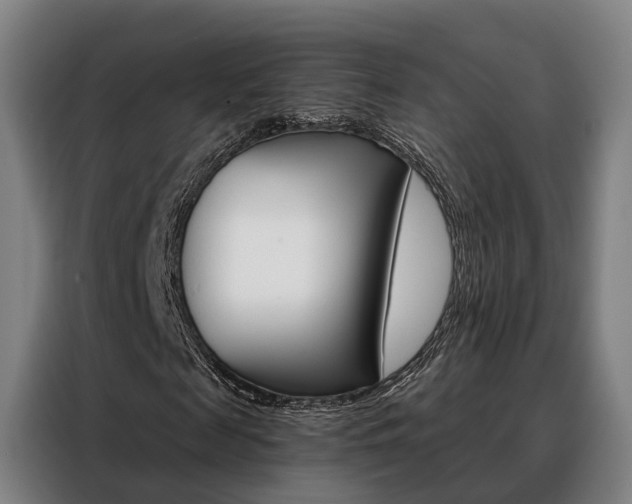 X0000088470817200705220938