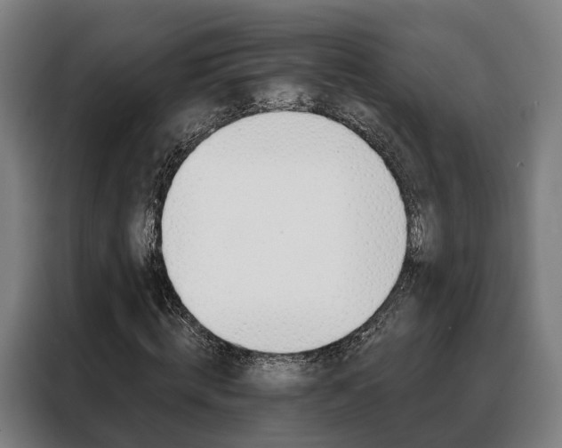 X0000088470820200705220938