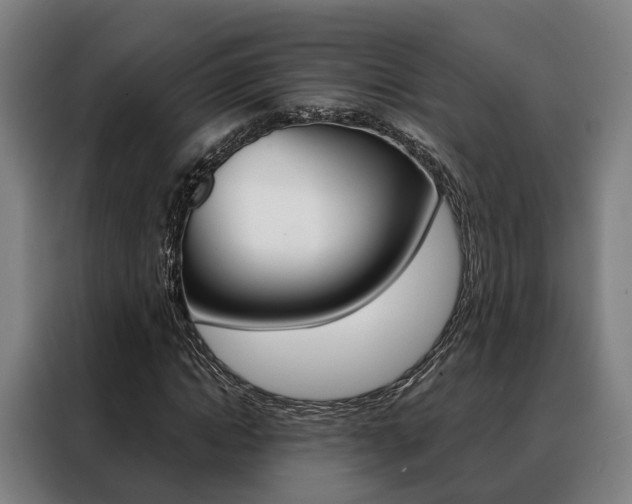 X0000088470822200705220938