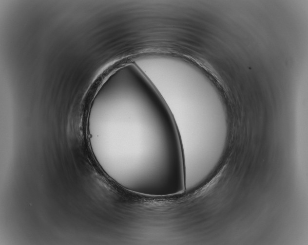 X0000088470830200705220939